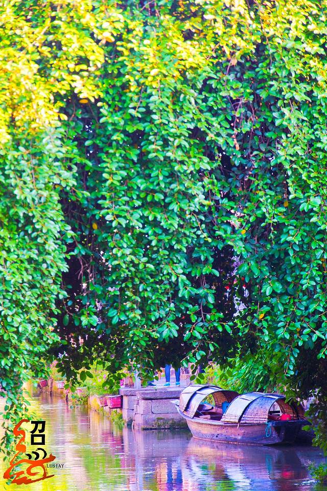 虽无食伤秀气扬 诗人徐志摩八字赏析