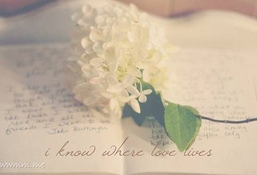 叫起来洋气的英文名，在外国人看来却是“翠花”水平，其中有你吗