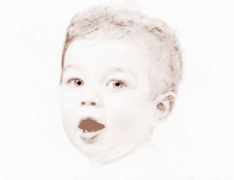 上海这对双胞胎火上热搜，全家人的名字绝了