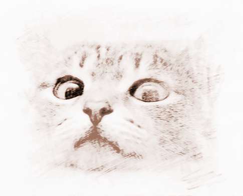 八个有趣、超酷的天体名字的由来