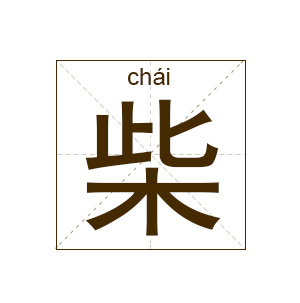 我，80后中国小伙，从小内向、老实，通过网络娶到了美国老婆