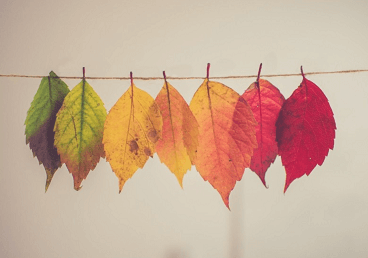 大学宿舍群聊名称，到底起得能有多“奇葩”？看完笑出猪声