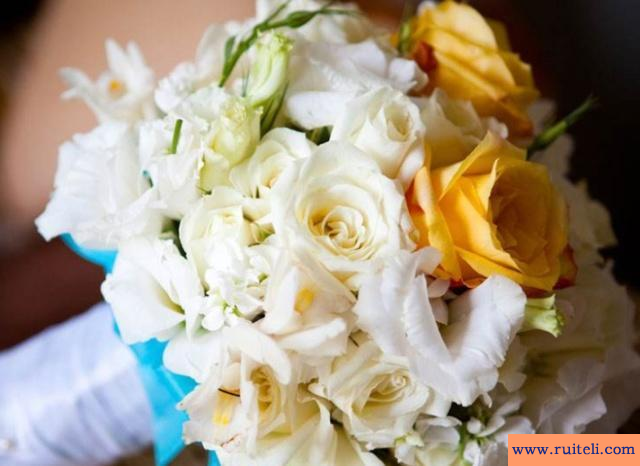 趣味测试：你最喜欢哪束花?测试你的桃花运如何