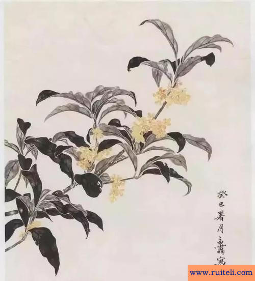 蟾宫折桂什么意思