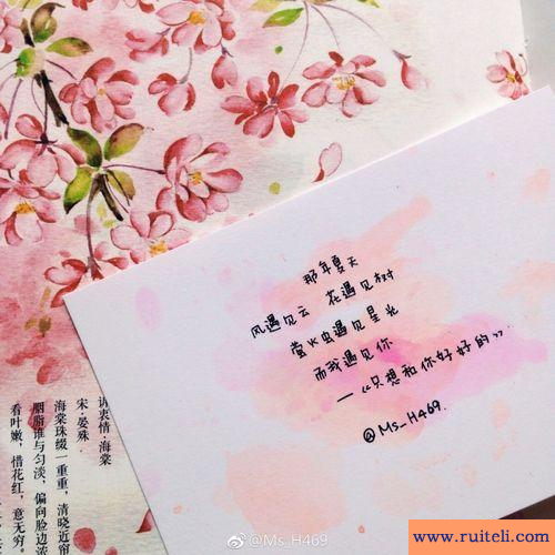 那年夏天遇见你