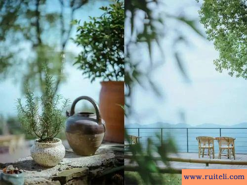 如履薄冰的意思