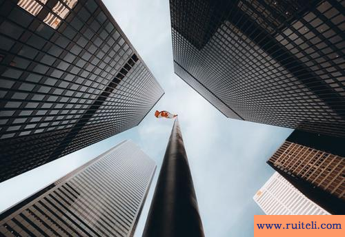 势在必行是什么意思