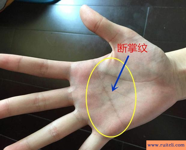 断掌纹图解