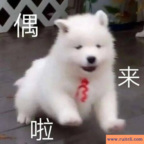 不知好歹的意思