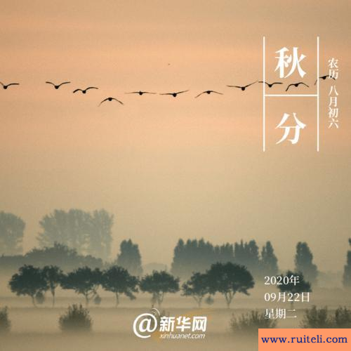 平分秋色的意思