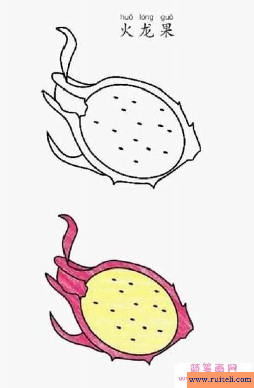 水果简笔画图片大全