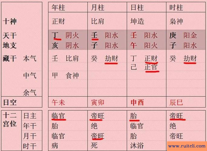 属龙的属相婚配表