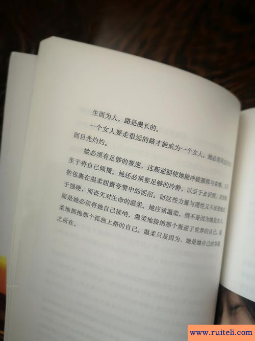 风尘仆仆的意思