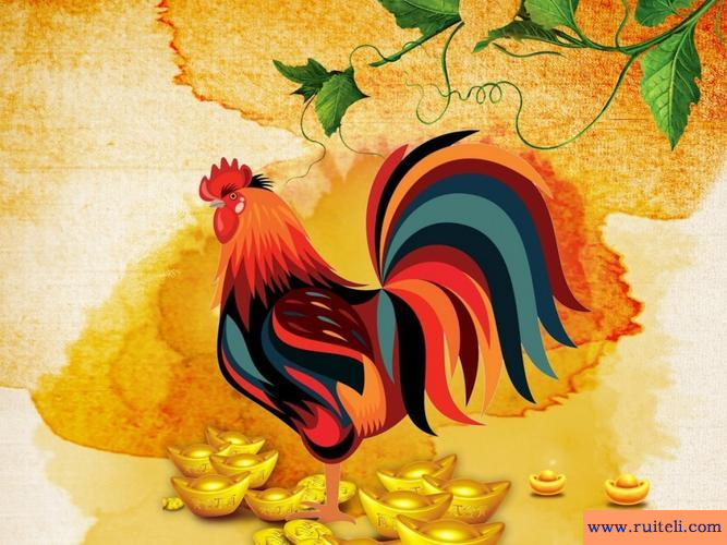 属鸡的属相婚配表