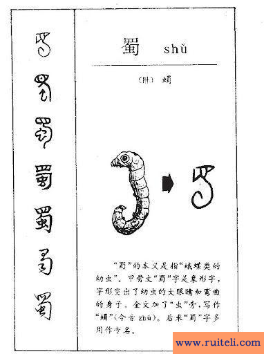 虫字旁的字有哪些