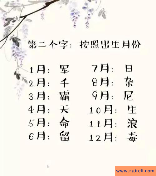 名字预测