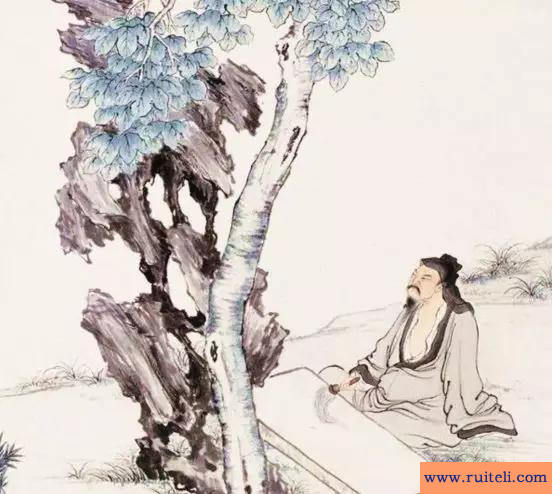 目不窥园的意思