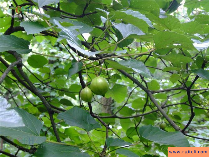 三年五载是什么意思