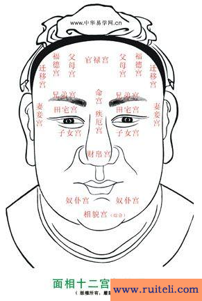 男痣的位置与命运图