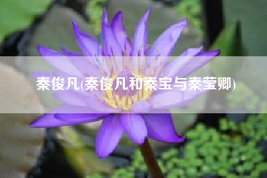 秦俊凡(秦俊凡和秦宝与秦莹卿)