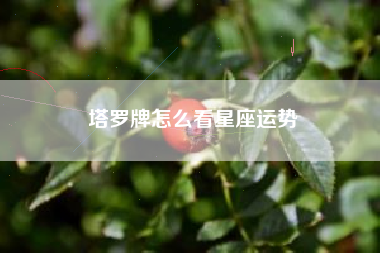 塔罗牌怎么看星座运势 塔罗牌怎么看星座运势