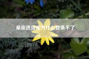 星座进货宝为什么登录不了 星座进货宝为什么登录不了