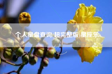 个人星盘查询(超完整版)星座乐 个人星盘查询(超完整版)星座乐