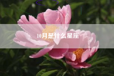 10月是什么星座 10月是什么星座