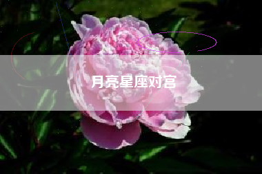 月亮星座对宫 月亮星座对宫