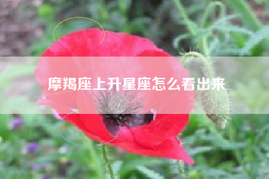 摩羯座上升星座怎么看出来 摩羯座上升星座怎么看出来