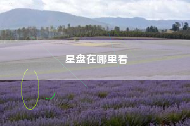 星盘在哪里看 星盘在哪里看