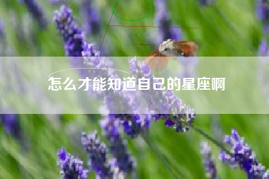 怎么才能知道自己的星座啊 怎么才能知道自己的星座啊