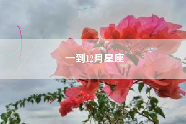 一到12月星座 一到12月星座
