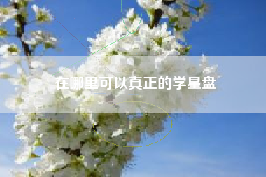 在哪里可以真正的学星盘 在哪里可以真正的学星盘