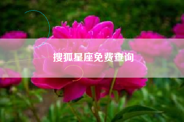 搜狐星座免费查询