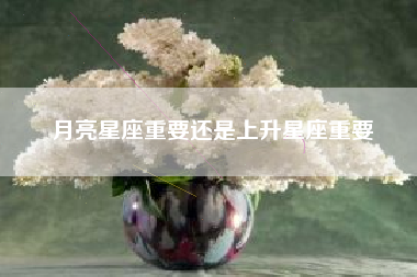 月亮星座重要还是上升星座重要