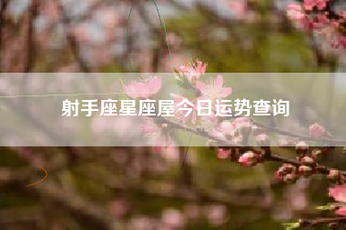 射手座星座屋今日运势查询 射手座星座屋今日运势查询