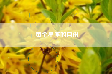 每个星座的月份