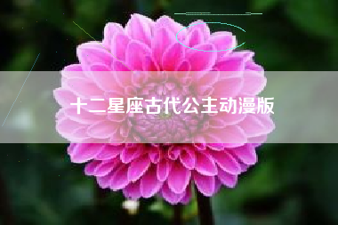 十二星座古代公主动漫版