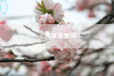 12宫星座查询